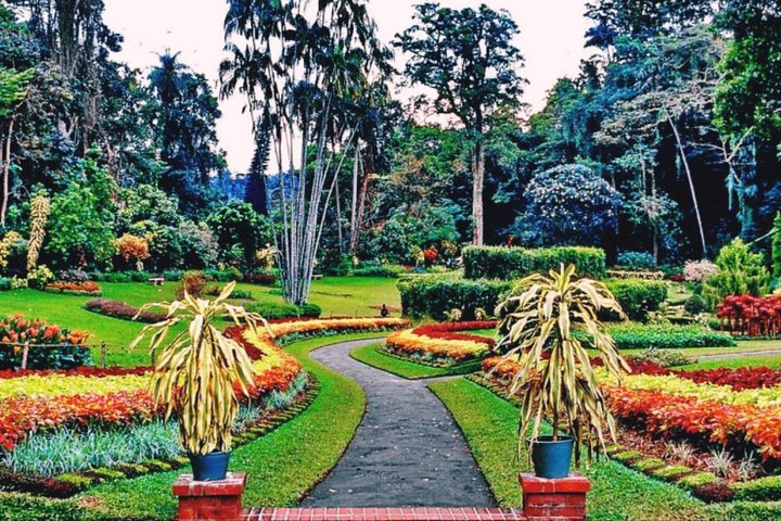 Peradeniya botanical gardens 